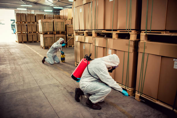 Best Wildlife Control Services  in Lacon, IL