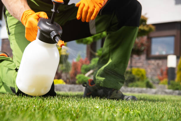 Best Commercial Pest Control Services  in Lacon, IL
