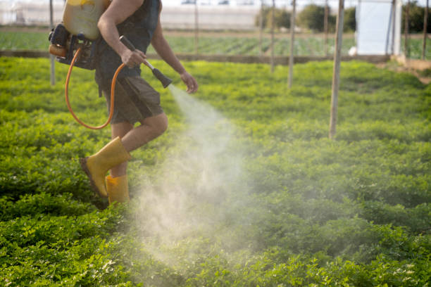 Best Best Pest Control Companies  in Lacon, IL