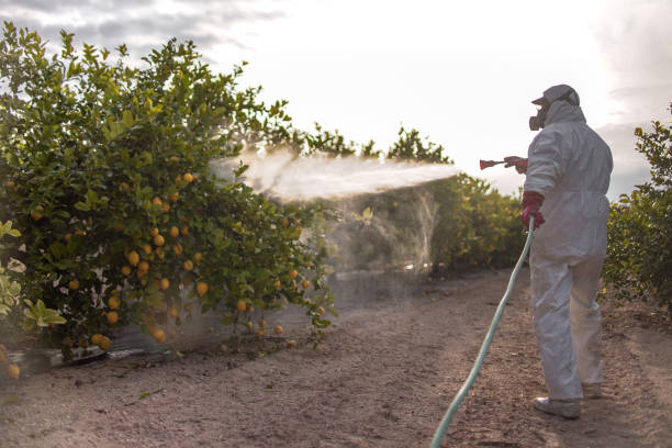 Best Pest Control Near Me  in Lacon, IL