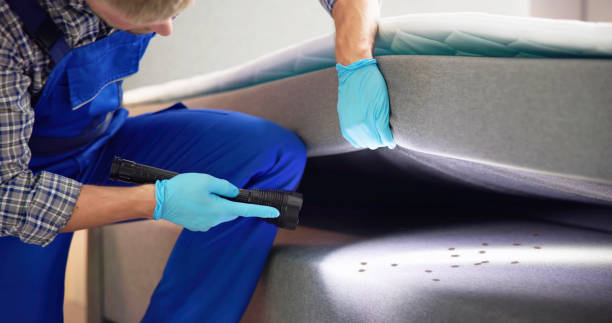 Best Mosquito Control Services  in Lacon, IL