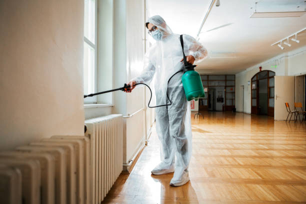 Best Local Pest Control Services  in Lacon, IL