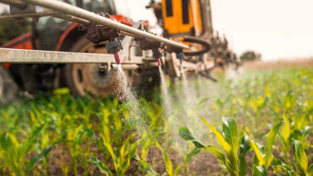 Best Best Pest Control Companies  in Lacon, IL